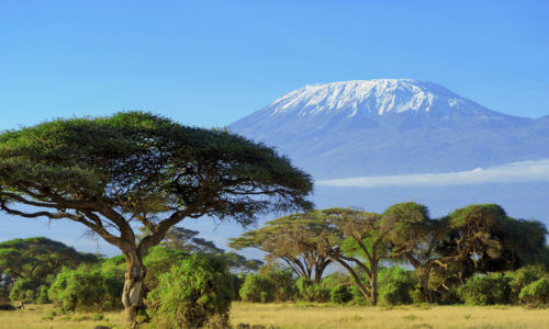 Climbing Kilimanjaro Climbing Kilimanjaro