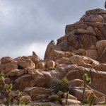 Time for a breather! A weekend of climbing and anchoringhellip Time for a breather! A weekend of climbing and anchoringhellip